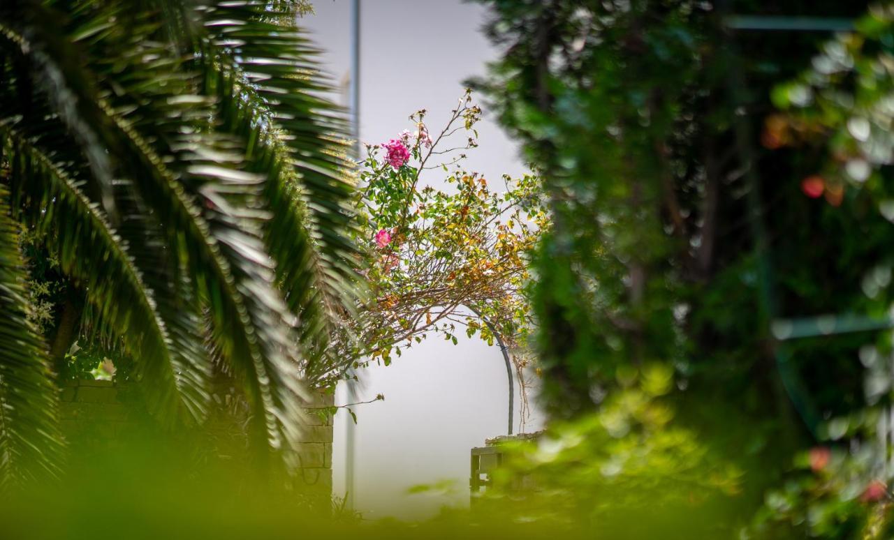 Apartments Villa Rudi Bibinje Luaran gambar